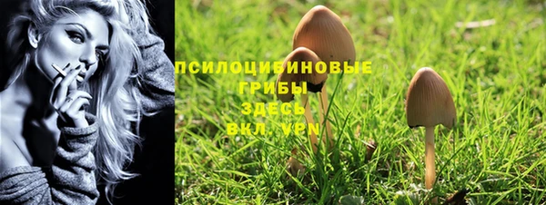 герыч Липки