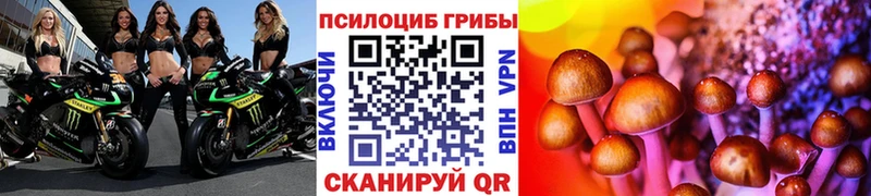 Псилоцибиновые грибы Psilocybine cubensis  Астрахань 