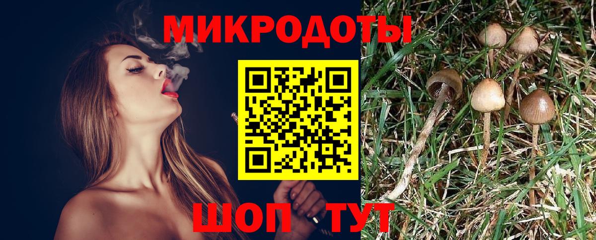 Псилоцибиновые грибы мицелий Астрахань