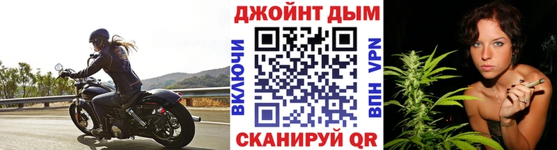Шишки марихуана сатива продажа наркотиков Астрахань